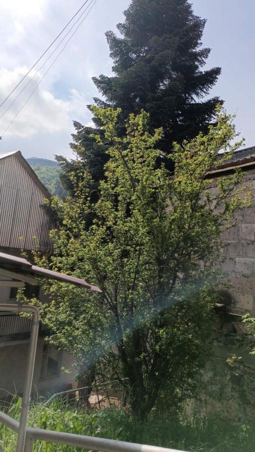 Arman Guest House Dilijan Ngoại thất bức ảnh