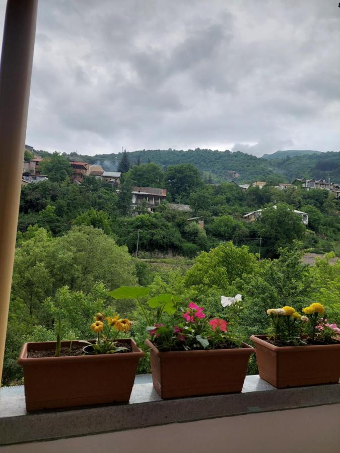 Arman Guest House Dilijan Ngoại thất bức ảnh